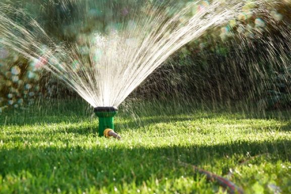 How to Water Your Lawn